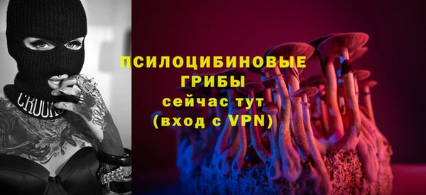 гидра Белокуриха
