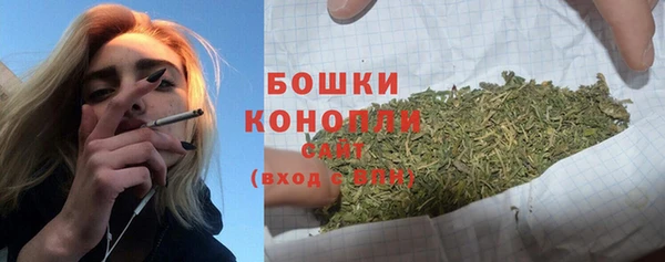 стафф Богородск
