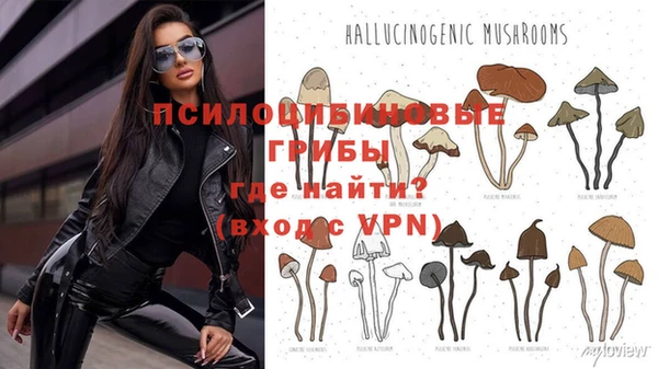 гидра Белокуриха