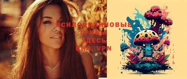 гидра Белокуриха