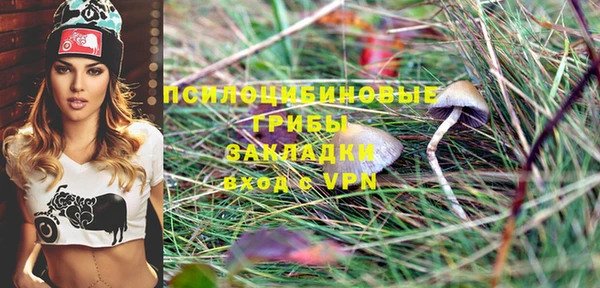 гидра Белокуриха